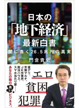 日本の「地下経済」最新白書(ソフトバンク新書)