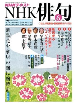 NHK 俳句 2018年 06月号 [雑誌]