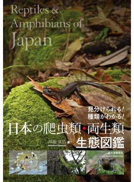 日本の爬虫類・両生類生態図鑑 見分けられる！種類がわかる！