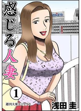 【全1-52セット】感じる人妻(アクションコミックス)