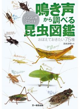 鳴き声から調べる昆虫図鑑 おぼえておきたい７５種