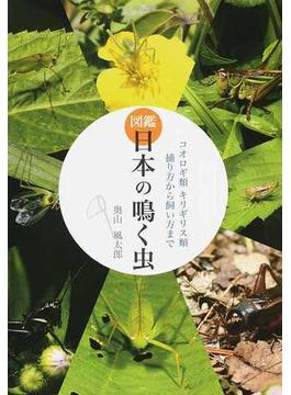 図鑑日本の鳴く虫 コオロギ類キリギリス類捕り方から飼い方まで