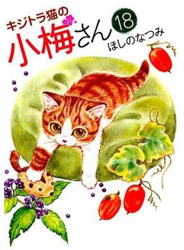 キジトラ猫の小梅さん １８ （コミック）(ねこぱんちコミックス)