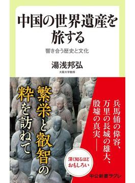 中国の世界遺産を旅する　響き合う歴史と文化(中公新書ラクレ)