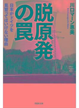 脱原発の罠：日本がドイツを見習ってはいけない理由