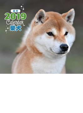 2019年ミニカレンダー　柴犬