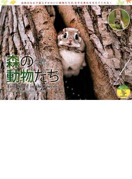 カレンダー 2019 森の動物たち 太田達也セレクション