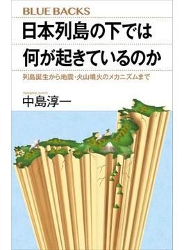 日本列島の下では何が起きているのか　列島誕生から地震・火山噴火のメカニズムまで(講談社ブルーバックス)