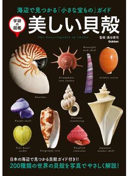 美しい貝殻(学研の図鑑)