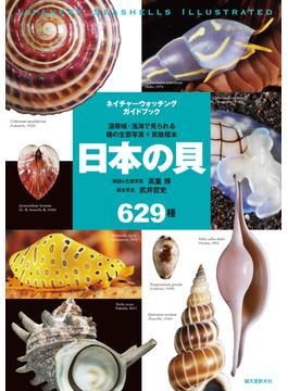 日本の貝 温帯域・浅海で見られる種の生態写真＋貝殻標本 ６２９種