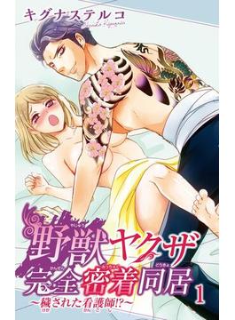 【全1-6セット】野獣ヤクザ完全密着同居～穢された看護師!?～(恋愛宣言 )