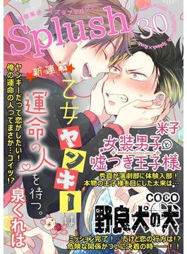 Splush vol.30　青春系ボーイズラブマガジン(Splush)