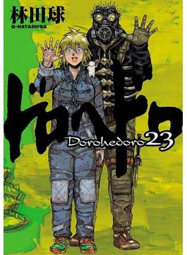 ドロヘドロ 23(IKKI コミックス)
