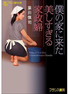 僕の家に来た美しすぎる家政婦(フランス書院文庫)
