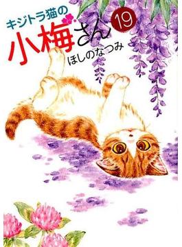 キジトラ猫の小梅さん １９ （コミック）(ねこぱんちコミックス)