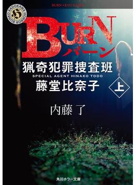 BURN　上　猟奇犯罪捜査班・藤堂比奈子(角川ホラー文庫)