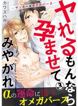 ヤれるもんなら孕ませてみやがれ　－ヤンキー×オメガバース－ 3(BL宣言)
