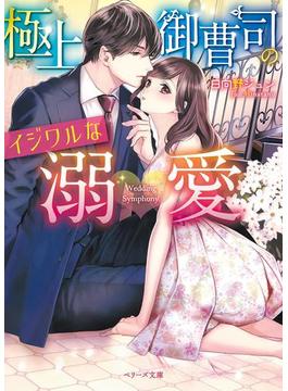 極上御曹司のイジワルな溺愛(ベリーズ文庫)