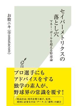 セイバーメトリクスの落とし穴～マネー・ボールを超える野球論～(光文社新書)