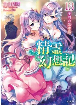 精霊幻想記13.対の紫水晶(HJ文庫)