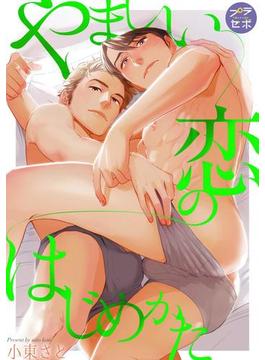 やましい恋のはじめかた（13）(プラセボ)