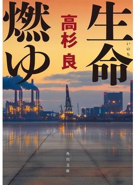 生命燃ゆ(角川文庫)