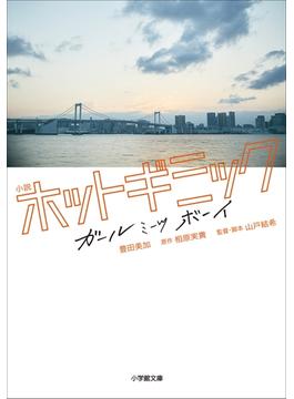 小説　ホットギミック　ガールミーツボーイ(小学館文庫)