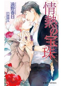 情熱の宝珠（情熱シリーズ14）【イラスト入り】(ビーボーイノベルズ)