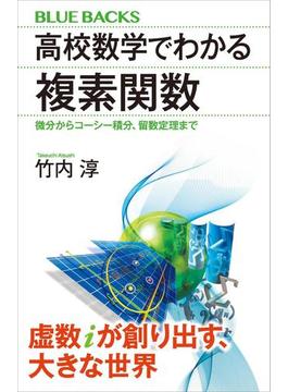 高校数学でわかる複素関数　微分からコーシー積分、留数定理まで(講談社ブルーバックス)