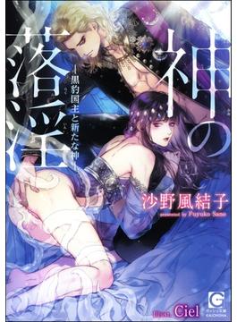 神の落淫―黒豹国主と新たな神―【イラスト入り】(ガッシュ文庫)
