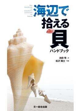海辺で拾える貝ハンドブック
