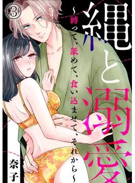 縄と溺愛 ～縛って、舐めて、食い込ませて、それから～3(黒ひめコミック)