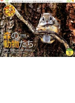 2020年カレンダー　太田達也セレクション　森の動物たち　Tiny Story in the Forests