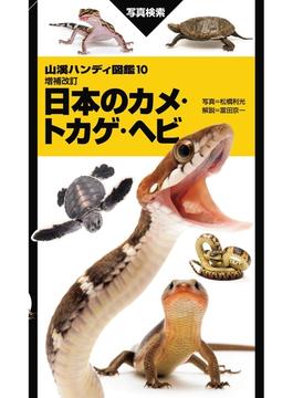 山溪ハンディ図鑑 増補改訂 日本のカメ・トカゲ・ヘビ