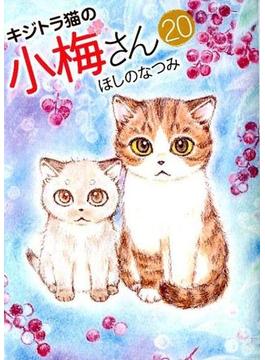 キジトラ猫の小梅さん ２０ （コミック）(ねこぱんちコミックス)