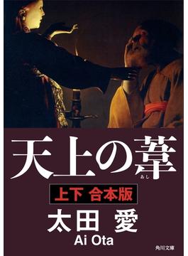 天上の葦【上下　合本版】(角川文庫)