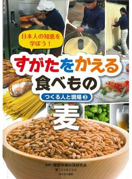 すがたをかえる食べもの 日本人の知恵を学ぼう！ つくる人と現場 ３ 麦