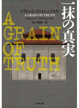 一抹の真実　～A GRAIN OF TRUTH～(小学館文庫)