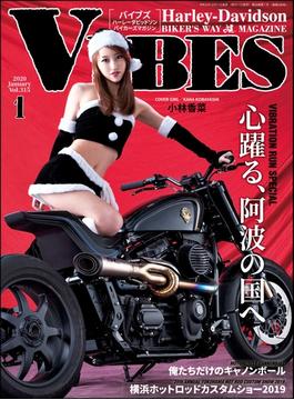 VIBES【バイブズ】2020年1月号(VIBES)