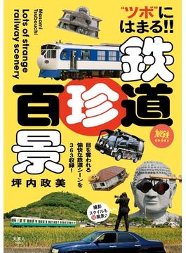 旅鉄BOOKS 022 鉄道珍百景