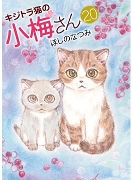 キジトラ猫の小梅さん (20)(ねこぱんちコミックス)