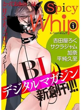 【全1-47セット】Spicy Whip(Spicy Whip)