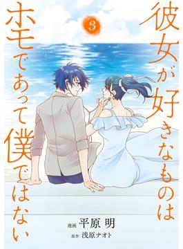 彼女が好きなものはホモであって僕ではない 3(ＢＲＩＤＧＥ　ＣＯＭＩＣＳ)