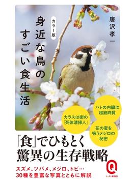 カラー版　身近な鳥のすごい食生活(イースト新書Q)