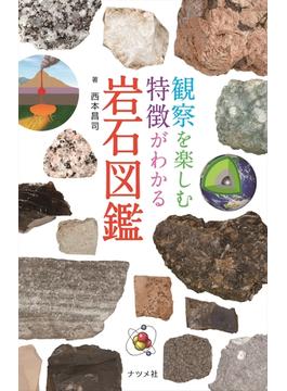 観察を楽しむ特徴がわかる岩石図鑑