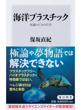 海洋プラスチック 永遠のごみの行方(角川新書)