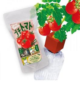 ペットボトル栽培グリーントイ　プチトマト