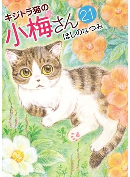 キジトラ猫の小梅さん (21)(ねこぱんちコミックス)