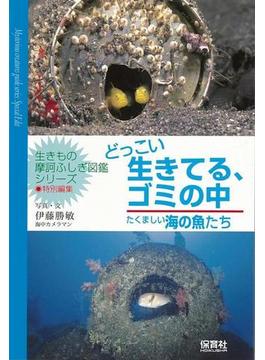 【アウトレットブック】どっこい生きてる、ゴミの中　たくましい海の魚たち－生きもの摩訶ふしぎ図鑑シリーズ