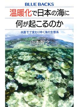 温暖化で日本の海に何が起こるのか 水面下で変わりゆく海の生態系(ブルー・バックス)
